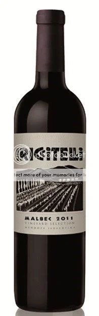 MatiasRiccitelli‘VineyardSelection’,LujandeCuyo,Malbec202175cl