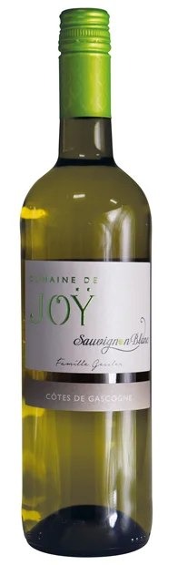 DomainedeJoÿ,SauvignonBlancGrosManseng,CotesdeGascogne202275cl