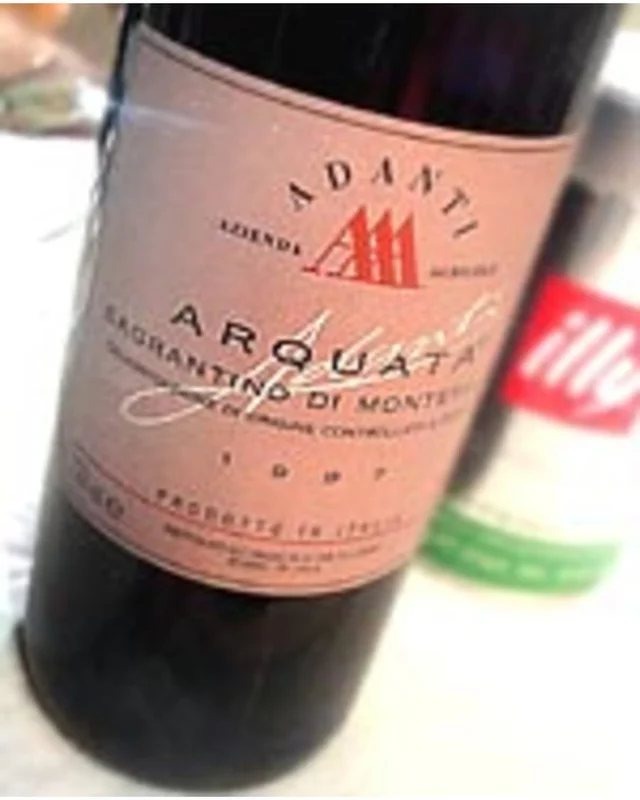 1998AdantiSagrantinodiMontefalcoSeccoDOCG