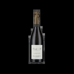 BerecheetFilsBlancdeNoirsMailly-ChampagneGrandCru2019