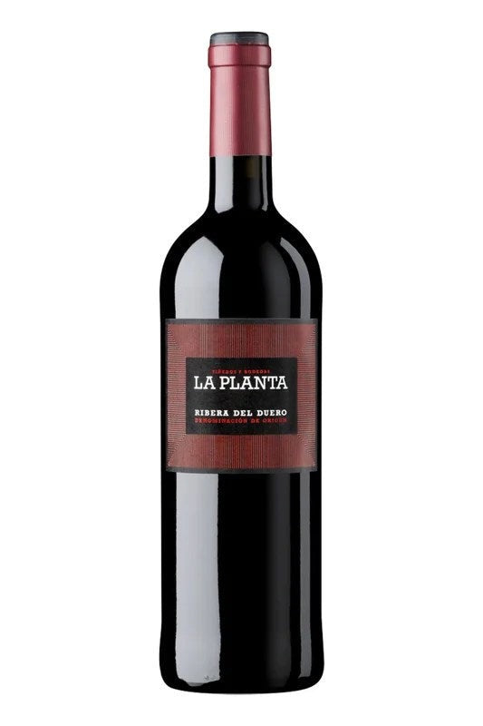 BodegasArzuagaLaPlanta2021(750ml)