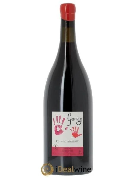 CoteauxBourguignonsGamayMélissaBazinetRomainDeMoor2022