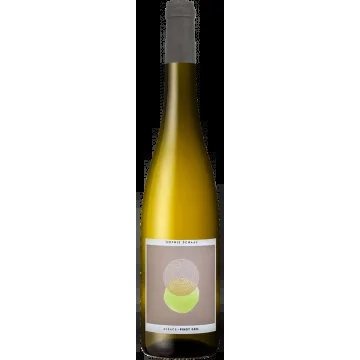 PinotGris2024–SophieSchaal