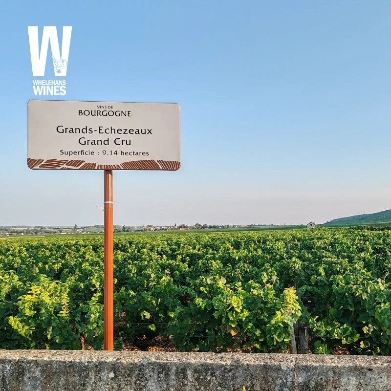 ExplorationThursdays|12thFebruary2026–WinesofBurgundy