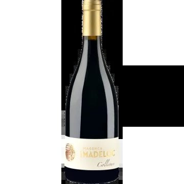 CollioureMagenca2022–DomaineMadeloc