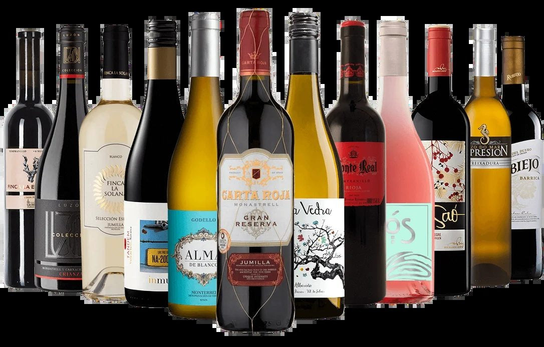 SpanishDiscovery–12BottleMixedCase