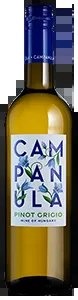 CampanulaPinotGrigio2024