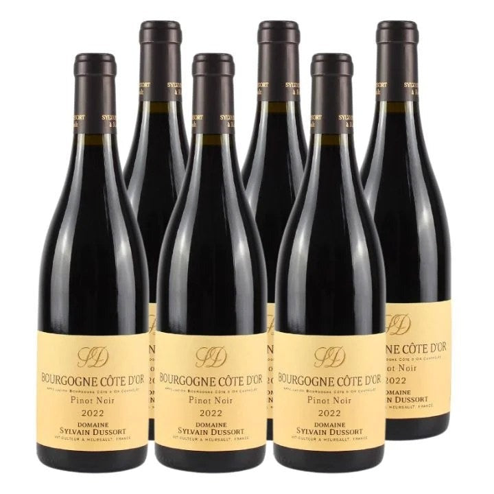 Dom.SylvainDussort,Coted’OrPinotNoir2022–6BottleCase