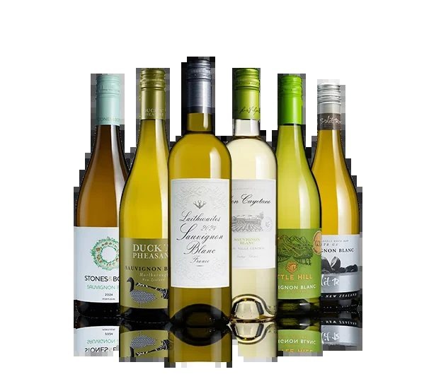 SauvignonSix