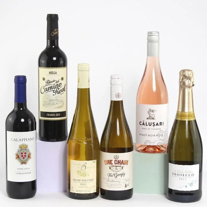 BacktoBasicsMixed6BottleCase