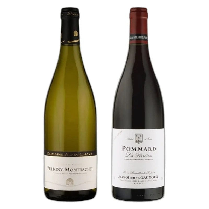 Remarkable2BottleBurgundyWineSet